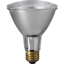 Eiko 60PAR30LN/H/FL-120V Halogen Lamp