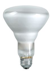Philips 140079 Incandescent Lamp